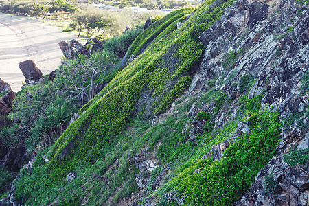 在悬崖上攀登植被图片