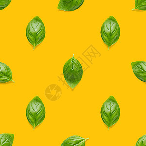 意大利罗勒叶香草无缝图案橙色背景创意无缝图案由新鲜绿色罗勒平铺布局制成图片