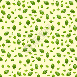 黄色背景上的意大利罗勒叶草无缝图案由新鲜绿色罗勒平铺布局制成的创意无缝图案图片