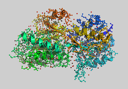 含有原子的蛋白因分子模型计算机力量色带图片债券科学图片