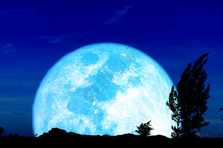 超级丰收蓝色月亮和夜间的双周松树图片