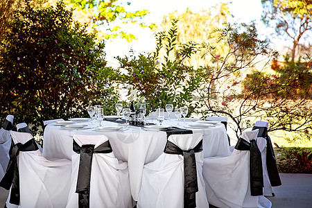 婚宴招待会设置为装饰主题桌布酒杯椅子玻璃餐具餐饮餐巾接待奢华餐厅图片