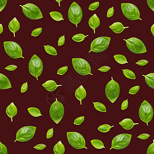 红色背景上的意大利罗勒叶草无缝图案由新鲜绿色罗勒平铺布局制成的创意无缝图案植物农业高架宏观香料绿叶香草蔬菜芳香树叶图片