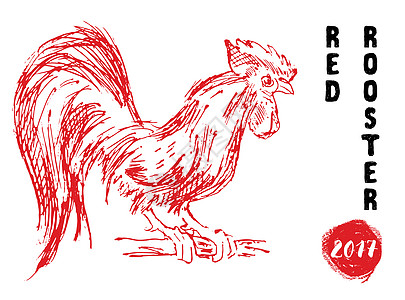 2017年的红鸡或公鸡符号 手画草图矢量插图文化手绘母鸡八字传统标签庆典动物假期艺术图片