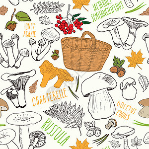 蘑菇手画草图 无缝模式 矢量说明饮食手绘蔬菜毒菌收成森林食物叶子坚果季节图片