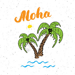 用手绘素描棕榈树排版设计标志 矢量插图刻字 aloha太阳光线草图植物学假期旅行叶子横幅植物棕榈旅游图片