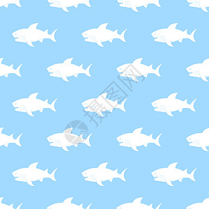 鲨鱼无缝模式 手画图纸涂鸦鲨鱼 矢量插图攻击荒野剪贴簿动物球座海浪尾巴绘画包装卡通片图片