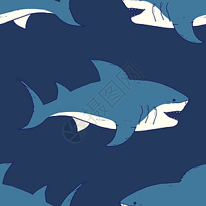 鲨鱼无缝模式 手画图纸涂鸦鲨鱼 矢量插图荒野牙齿球座动物绘画卡通片织物游泳捕食者潜水图片