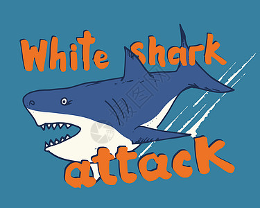 剪切鲨鱼手画草图 T恤衫印刷品设计矢量插图漫画涂鸦牙齿海浪绘画潜水攻击服饰球座荒野图片