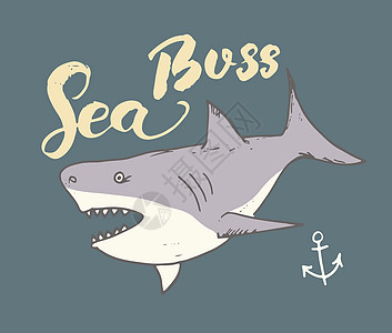 剪切鲨鱼手画草图 T恤衫印刷品设计矢量插图动物刻字打印捕食者球座绘画游泳手绘海洋潜水图片
