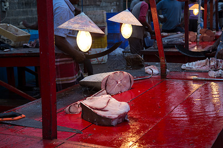 斯里兰卡Negombo的早晨鱼市场海鲜动物食物桌子旅游商业文化钓鱼摊位海洋图片