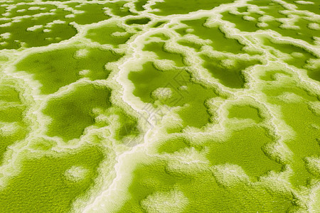 绿色盐湖 天然湖底背景支撑吸引力海滩水晶反射天线风景旅行海洋热带图片