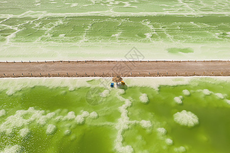 绿色盐湖和海滩雨伞 天然湖底背景海洋水晶旅游天线海岸线海岸天堂支撑环境盐水图片