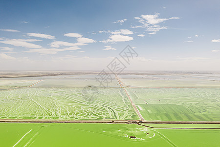 绿色盐湖 天然湖底背景吸引力池塘热带反射海岸结晶盐水水晶环境旅游图片