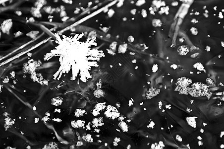 冰雪水晶天气裂缝冰川裂痕地面宏观气泡寒冷季节图片