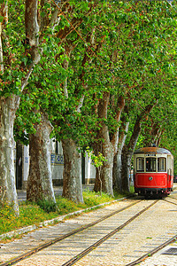 辛特拉街的街道上充满多彩色彩的电车 在春天的里斯本旅行旅游古董运输城市电缆历史性历史观光市中心图片