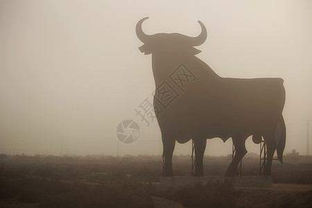 阿利坎特的神秘和典型奥斯本公牛场地午休场景斗牛太阳传统旅行天空野生动物平底锅图片