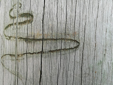 木制背景的蛇形闪烁标志摘要图片