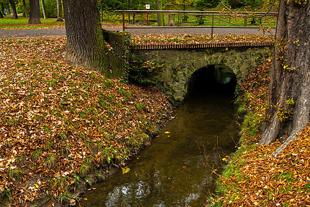 在公园的一座桥下流水过河图片