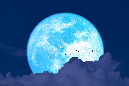 超级丰收的蓝色月亮和双影鸟飞翔 暗木斑图片