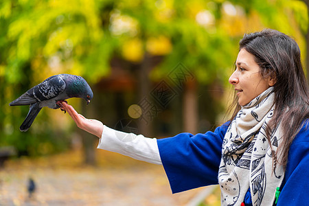 一个人手上握着一只鸽子 喂鸽子图片