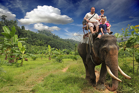 骑着大象 一个有小孩的年轻家庭骑着大象乐趣丛林哺乳动物动物运输异国冒险树干父亲母亲图片