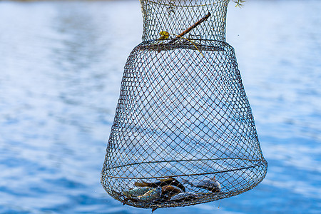 钓鱼业爱好和闲暇 无声猎捕工具捕手池塘淡水渔业鱼篮海鲜食物配饰活动图片