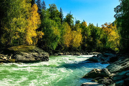 山区河流流过岩石 河流是阿尔泰河 大自然是阿尔泰环境冒险旅行桌面晴天流动倒影蓝天速度运动图片