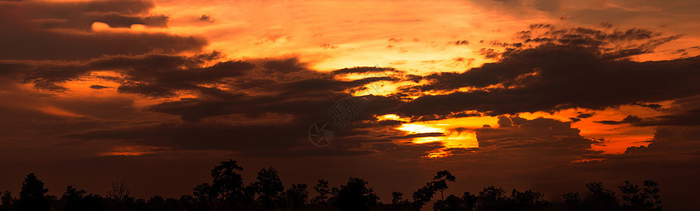 美丽的日落天空 云幕 月光上的金色日落图片