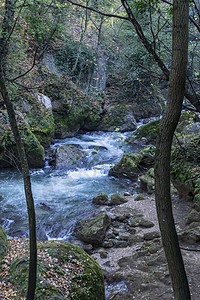 黑河及其在大理石瀑布后的一瞥假期泡沫活力风景溪流树木河道旅游岩石公园图片