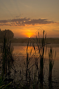 日落时的湖 沿海草和树木 水上的夕阳照亮游览蓝色支撑海滩太阳海浪反射海岸照片风光图片