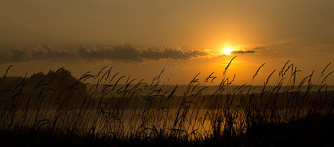 日落时的湖 沿海草和树木 水上的夕阳照亮太阳森林土地海岸灯塔蓝绿色风景日出全世界假期图片