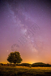 夜空树夜晚和星星 风景 夜里清银 孤单的田地和树星光紫色宇宙夜景系统流星天文定位星系星云背景