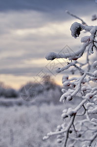 冰雪和云彩的积分图片