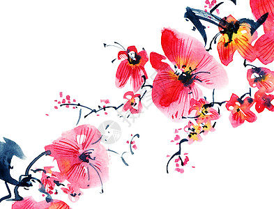 浅草树枝李子绘画花瓣树苗植物刷子水彩卡片艺术品樱花图片
