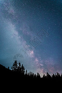 暗夜的银河系 明亮的乳色 树木的光影恒星天文夜景森林星云气氛史诗星星星尘全球图片