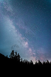 暗夜的银河系 明亮的乳色 树木的光影夜景星尘天文星星恒星星光摄影森林全球出口图片