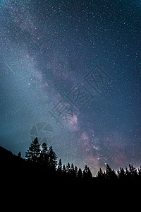 暗夜的银河系 明亮的乳色 树木的光影星系行星天文星尘星星星光宇宙科学物理照片图片