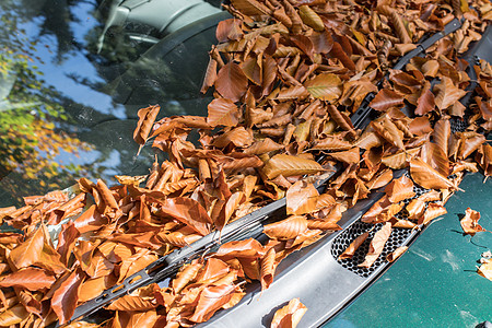 漂浮在汽车前盾上的多彩秋叶树叶太阳季节窗户天气运输橙子挡风玻璃旅行城市图片