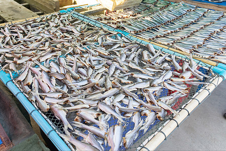 海鱼干组海鲜烹饪食物钓鱼盐渍蓝色金属动物海洋市场图片