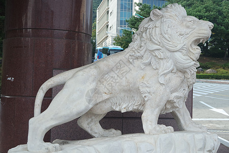 白色狮子雕像背景与副本 spac野生动物铅笔男性艺术荒野动物插图捕食者力量卡片图片