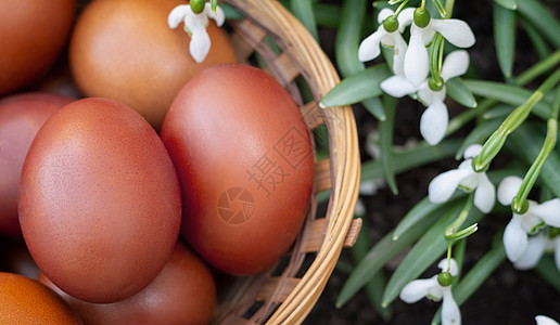 复活节的鸡蛋在篮子和雪滴里花朵宗教白色庆典装饰品宏观礼物装饰绿色食物图片