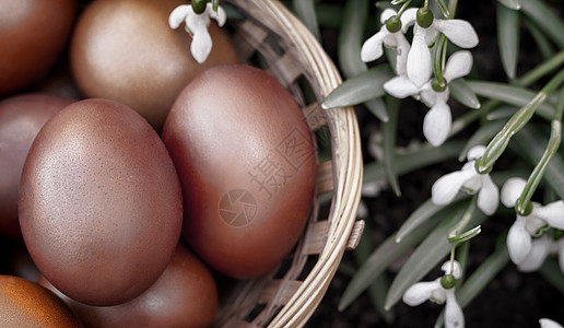 复活节的鸡蛋在篮子和雪滴里绿色白色装饰品季节性花园装饰草地花朵宗教传统图片