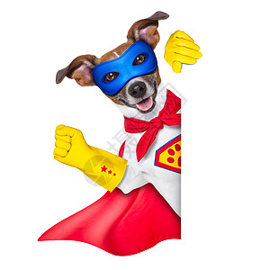 超级英雄狗领导者猎犬小狗吉祥物标语英勇横幅超级英雄勇气力量图片