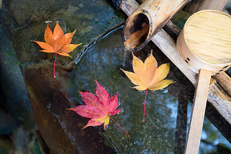 日本京都放松平衡与和谐灵性或健康的日本禅宗花园花朵石头圆圈盆栽木头岩石艺术庭园花园园艺图片