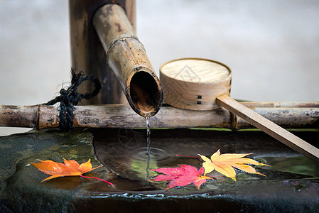 日本京都放松平衡与和谐灵性或健康的日本禅宗花园园艺盆栽艺术冥想庭园竹子花朵寺庙岩石枫叶图片