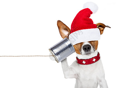 电话里的狗狗讲话中心工作热线操作员动物庆典工人办公室耳机图片