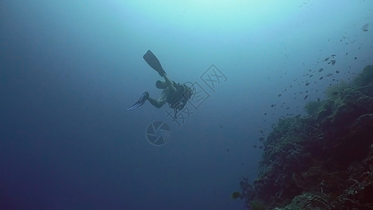 水下潜水器地面游泳运动蓝色珊瑚活动假期自由海洋生活背景图片