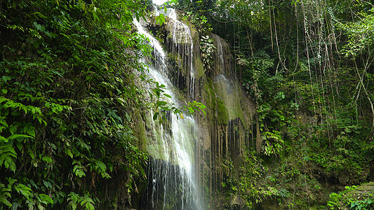 美丽的热带瀑布菲律宾宿务宿务宿雾丛林岩石环境景观风景绿叶旅行木头旅游图片