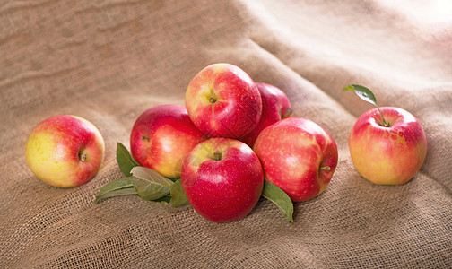 苹果躺在布麻布上 在纹理米色背景上的秋季水果收获 美味多汁的健康水果 粗糙的棕色布上放着成熟的新鲜苹果图片